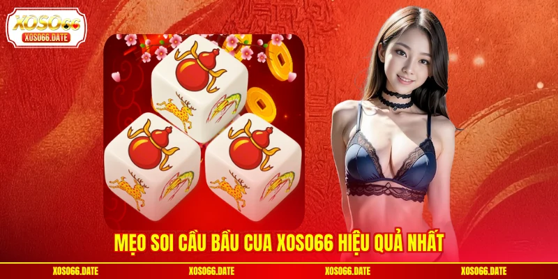 Mẹo soi cầu Bầu Cua XOSO66 hiệu quả nhất