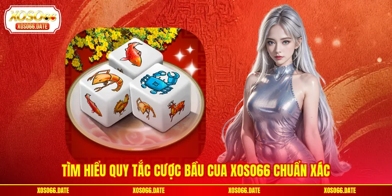 Tìm hiểu quy tắc cược Bầu Cua XOSO66 chuẩn xác